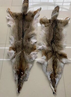 进口整只真狼皮加拿大郊狼皮床边毯皮草家居摆件装饰坐垫DIY手工