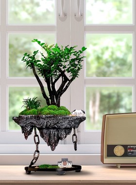 假山摆件中式家居桌面摆放装饰小叶紫檀绿植盆景创意乔迁开业礼品