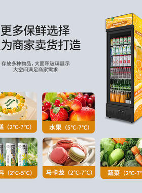 商用酒水饮料展示柜便利店冰柜单门风冷保鲜柜立式冷藏柜厂家