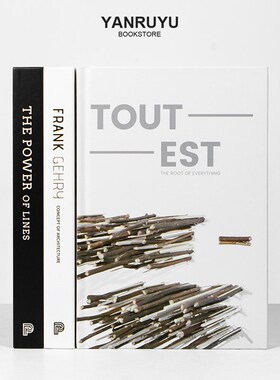 简约现代黑白灰精装组合装饰样板间客厅书房架书本装饰品摆件真书