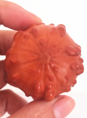 精品兰州特产天然疙瘩葫芦文玩手把异形微雕收藏工艺品摆件送种籽