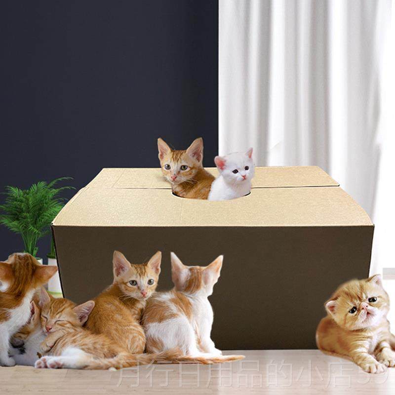 正品瓦楞宠物猫产房房猫狗窝产箱超大猫别墅猫窝屋子孕猫狗生产窝,淘宝优惠券,粉丝福利购,淘宝优惠卷