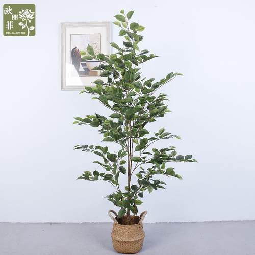 新款仿真布绿植双色仿真榕树室内软盆装婚庆场景置栽IBT道具摆件 - 图1