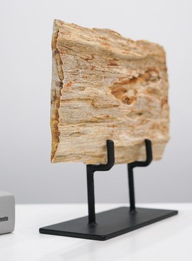 Yu Shi Lin木化石摆件开业礼品桌面摆饰客厅办公书桌艺术装饰天然