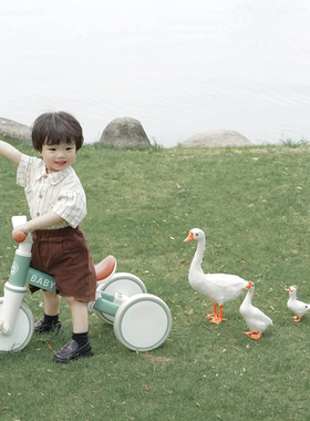 仿真大白鹅拍照道具儿童摄影田园摆件鹅室内外装饰布景美陈鹅