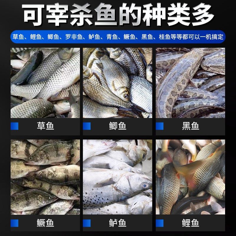 全自动杀鱼机开肚去鱼鳞多功能商用开背宰鱼机电动杀鱼去鳞开背机,淘宝优惠券,粉丝福利购,淘宝优惠卷