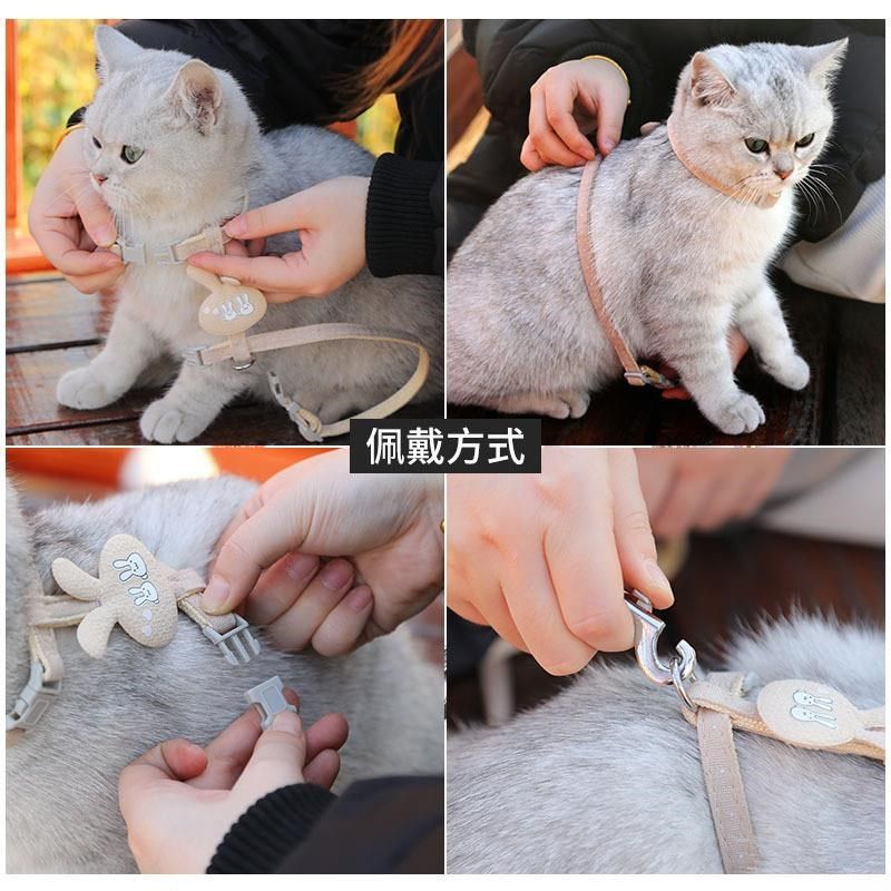 猫咪牵引绳猫绳子防挣脱外出专用溜猫绳子可调节宠物猫链子牵引猫,淘宝优惠券,粉丝福利购,淘宝优惠卷
