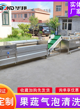 不锈钢果蔬气泡清洗设备多功能喷淋式清洗机厂家供应蓝莓清洗机
