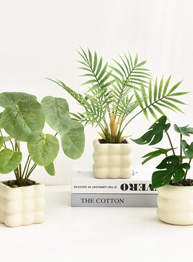 现代简约风仿真龟背竹绿植装饰品家居办公室客厅桌面室内花瓶摆件