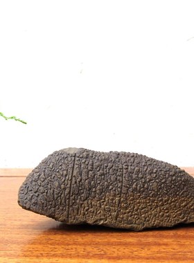 原石天然戈壁奇石泥石风凌石整体随形摆件造景自然原生态文玩收藏