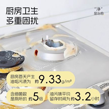 懒懒岛油污净厨房去油污强力清洁剂重油清洗神器油烟机450ml