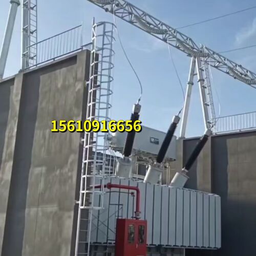 护笼爬梯厂房楼顶检修梯国标爬梯护笼扶手平台钢直梯基坑工地梯子 - 图2