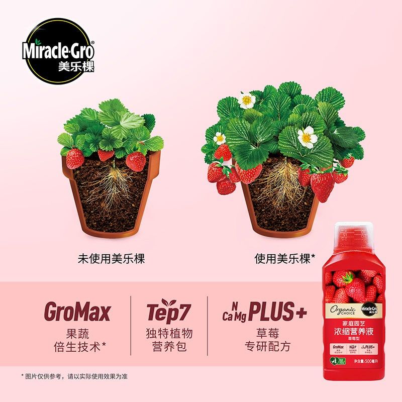 美乐棵草莓营养液家庭种植草莓专用钾钙镁配方增产易吸收水溶肥料,淘宝优惠券,粉丝福利购,淘宝优惠卷