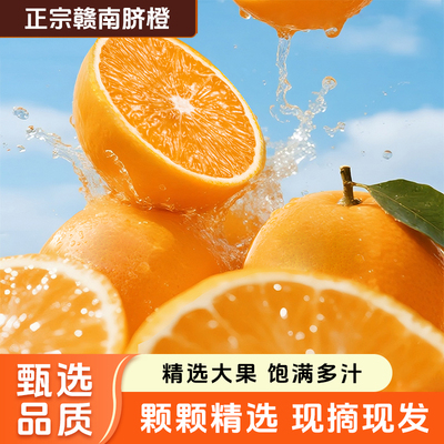 【赣州特产】江西赣南脐橙新鲜水果产地直发果肉饱满果园现采橙子