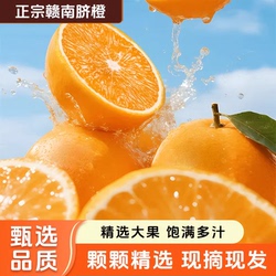 【宋潮文旅官方推荐】正宗江西赣南脐橙大果