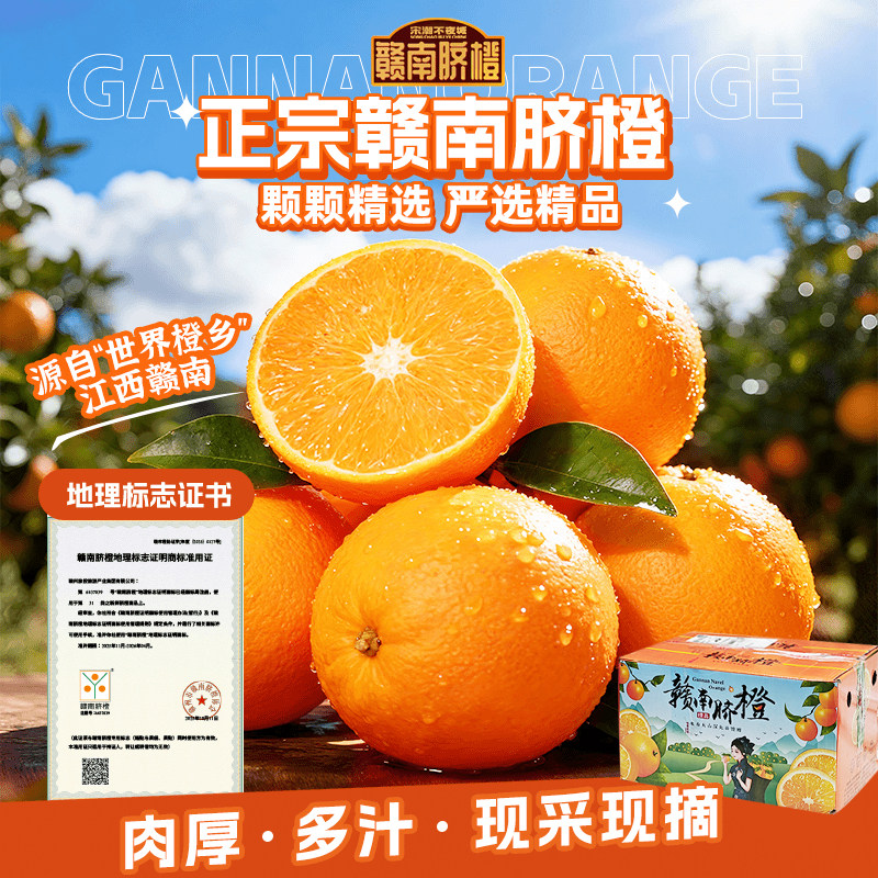 【现摘现发】赣南脐橙新鲜采摘当季水果赣州直发手剥大果甜橙子