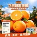 【宋潮文旅官方推荐】正宗江西赣南脐橙大果