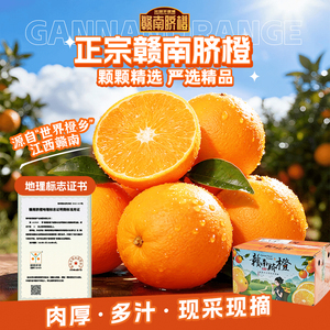 宋潮不夜城正宗江西赣州赣南脐橙新鲜应季水果现摘甜脐橙手剥