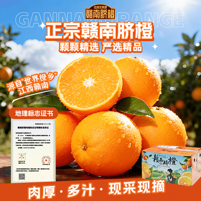 【宋潮不夜城】正宗江西赣州赣南脐橙新鲜应季水果现摘甜脐橙手剥