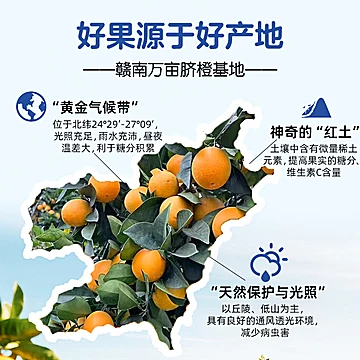 淘贝贝溯源正宗赣南脐橙精品大果[20元优惠券]-寻折猪