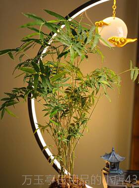 高档水摆件循环水招财观鱼缸创意居家生财办公室客厅开景业乔迁礼