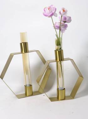 现轻代简约干金属奢六边形花铁架玻璃花器厅花插花透明花瓶摆件客