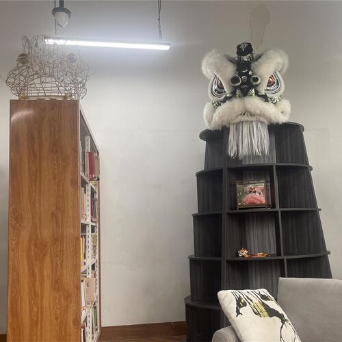 南狮行老夫子醒狮 精品南狮 高档醒狮狮头 符合比赛 南狮器材喜庆 - 图2