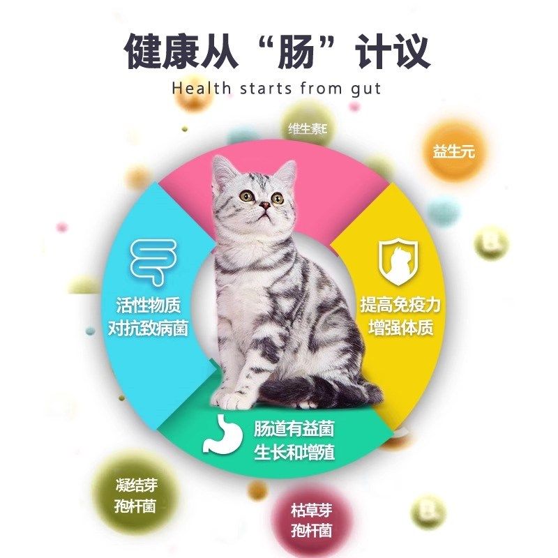 卫仕猫用复合维生素卫士多维片维生素b化毛球猫草片猫咪营养用品,淘宝优惠券,粉丝福利购,淘宝优惠卷