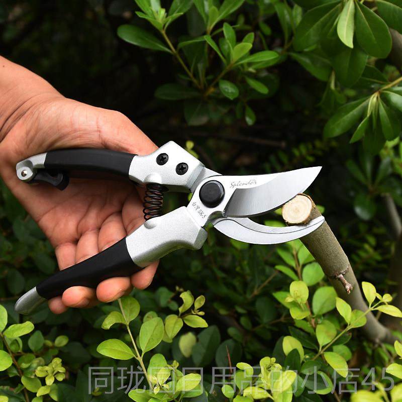 正品佐枝佐木修枝剪剪014树剪手剪用花枝园艺修剪工家具粗枝剪刀,淘宝优惠券,粉丝福利购,淘宝优惠卷