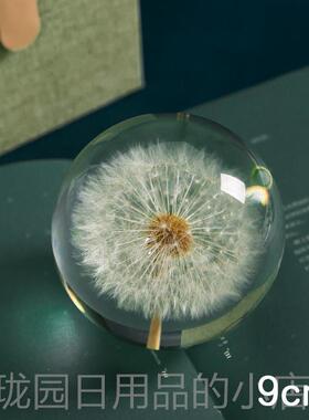 正品蒲公标花本英树脂水晶球植物摆件滴胶成品永生镇纸音盒小夜乐