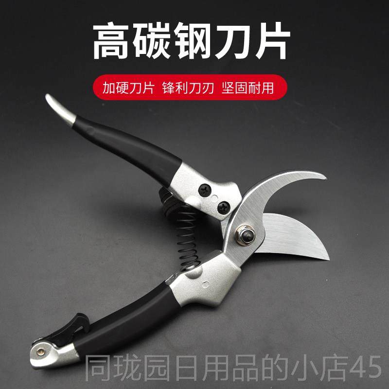 正品佐枝佐木修枝剪剪014树剪手剪用花枝园艺修剪工家具粗枝剪刀,淘宝优惠券,粉丝福利购,淘宝优惠卷