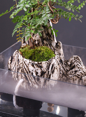 创意鱼缸高山流水摆件绿植盆景招财客厅室内桌面摆设开业乔迁礼品