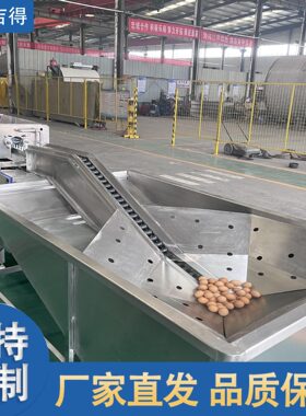 松花蛋咸鸭蛋多功能清洗机 蛋品光检分级机 日本可生食无菌蛋清洗