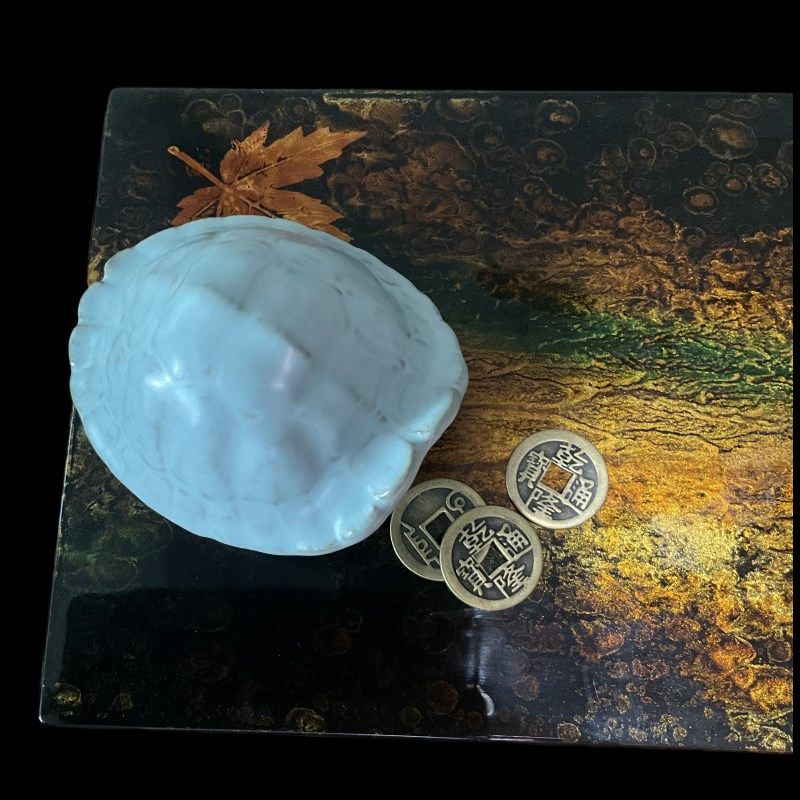 汝窑龟甲文创手把件富甲天下文玩国风摆件解压六爻摇卦乌龟壳摆件,淘宝优惠券,粉丝福利购,淘宝优惠卷