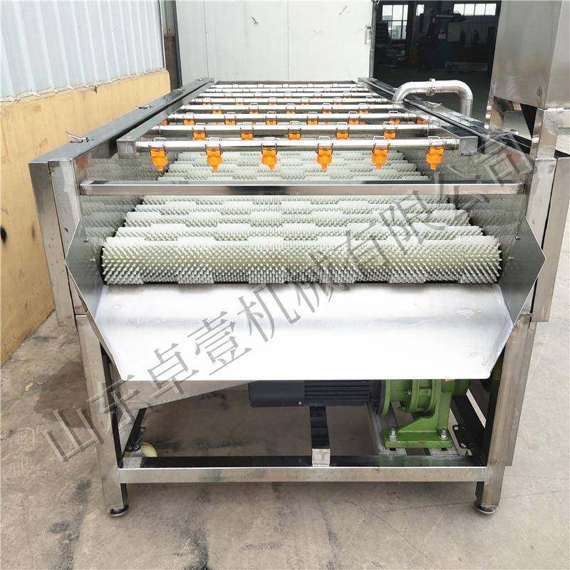 橘胡萝卜大清姜毛刷洗机子橙打蜡机脐果蔬毛辊清洗打蜡AWM设备,淘宝优惠券,粉丝福利购,淘宝优惠卷