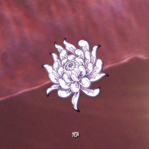 TLP反光车贴 菊花绽放闪耀盛开花朵手绘植物防水机车摩托漆面贴纸 - 图3