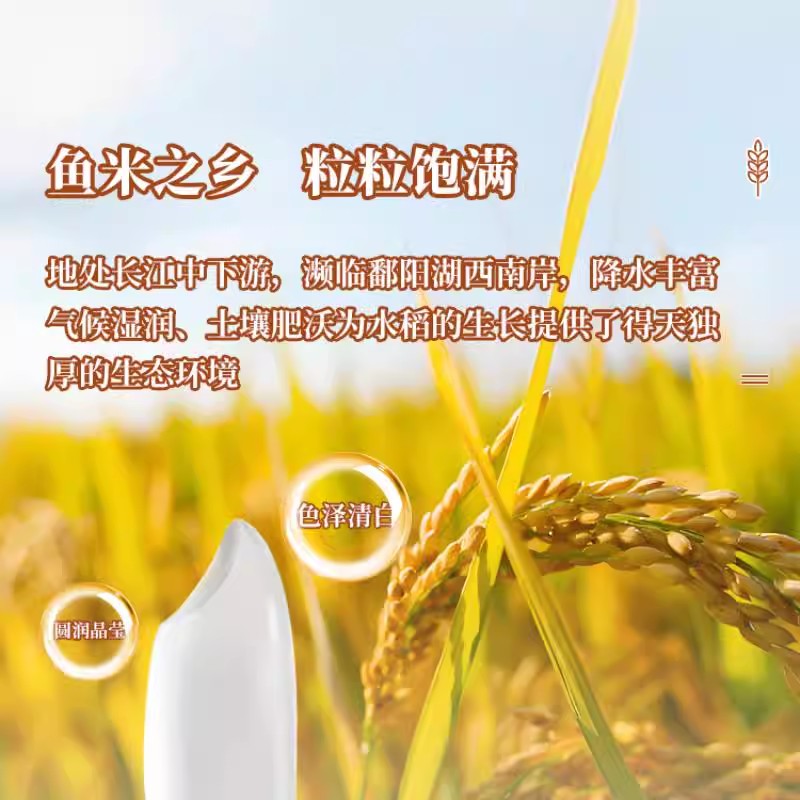 一级优选江西长粒香丝苗王米10kg精选新米软糯香米现磨现发20斤装 - 图2