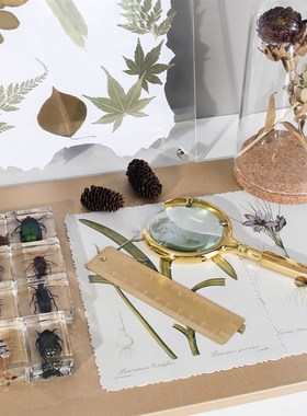 E-Pin 逸品样板房设计师搭配设计软装装饰摆件书房书桌昆虫花标本