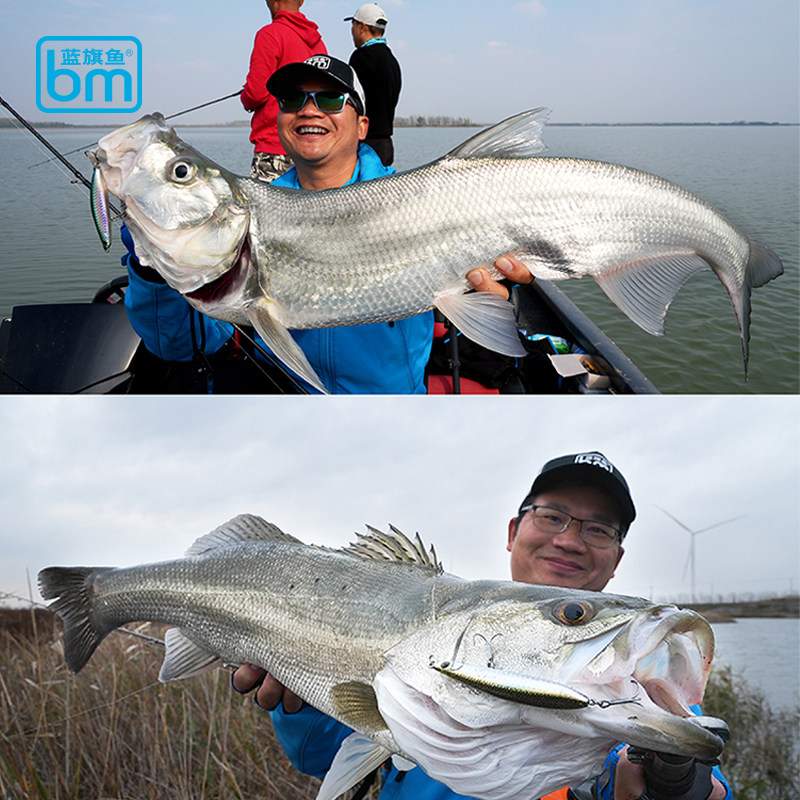 新款2023蓝旗鱼诡道鱼鳞沉水铅笔翘嘴鳡鱼鲈鱼鳜鱼远投路亚假饵,淘宝优惠券,粉丝福利购,淘宝优惠卷