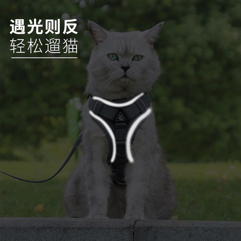 猫咪牵引绳防挣脱布偶猫背带蓝猫溜猫绳子猫咪外出专用遛猫绳透气,淘宝优惠券,粉丝福利购,淘宝优惠卷