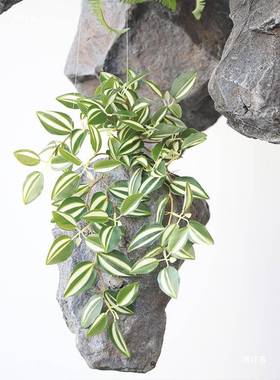 鱼造景悬浮石鱼树脂tj#%y%fg悬挂假石头假山造景装缸饰池浮雕悬塑