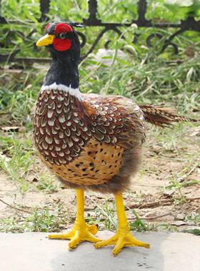 紫麟花仿真山鸡园工摆饰园艺动物摆设羽毛艺品创Zl-867意家居装饰