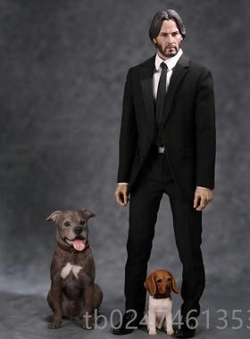 正品JX真K比幼格犬米物格鲁犬模型 小型仿兵人动潮玩摆件可爱狗手