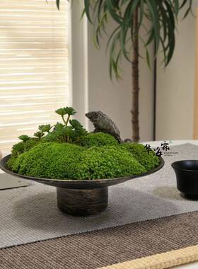 瓷t$*&hsdf新中式永生青苔植物盆景样板房客厅书茶几桌陶摆面件花