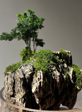 中式陶瓷云竹吸水石盆栽天空之城微景观鱼缸石头造景禅意装饰摆件