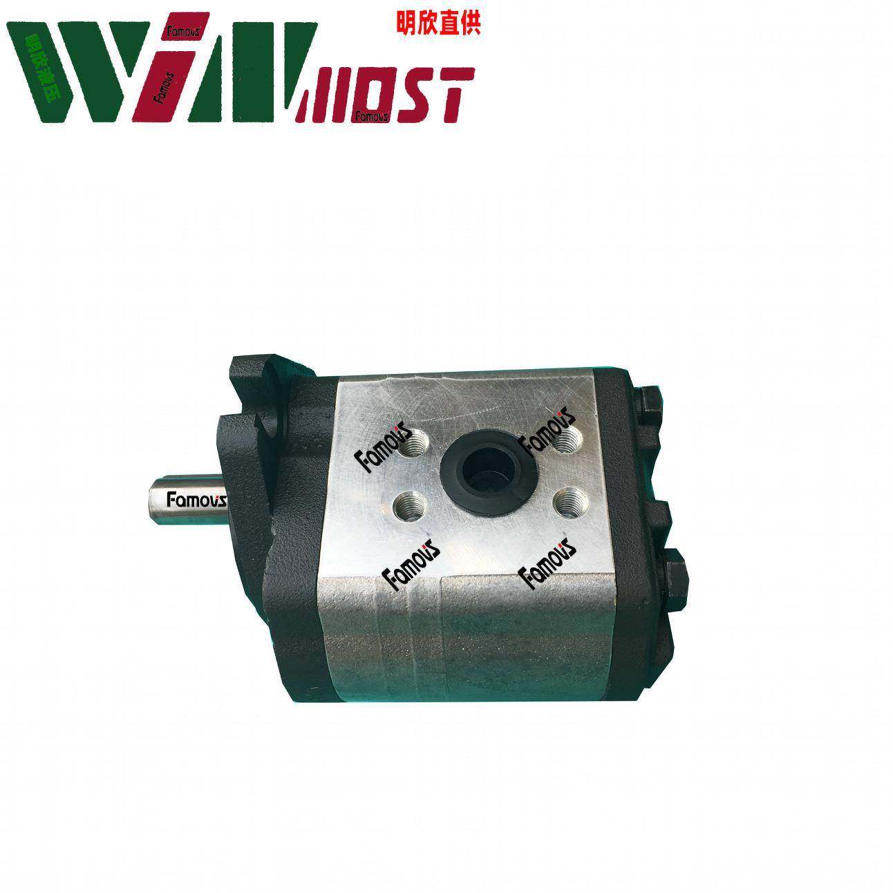 E-轮PA-F6RWINmoGWRWst高压外压齿泵齿轮油泵油齿轮泵浦,淘宝优惠券,粉丝福利购,淘宝优惠卷