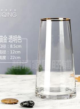 正品斯堪的维亚障碍豪华金色冷无图案玻璃花瓶透纳明客厅插花百玫