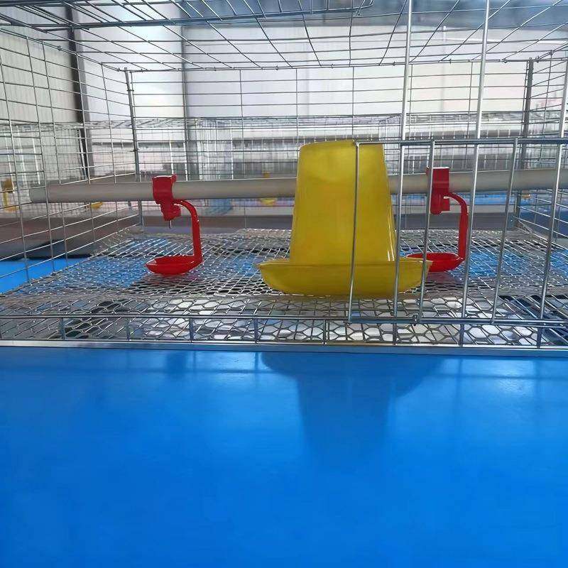 育雏笼四层立体式镀锌鸡舍养殖笼厂家小鸡笼畜牧农用养殖雏鸡笼,淘宝优惠券,粉丝福利购,淘宝优惠卷