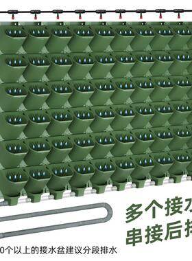 森林盒子5017植物墙花盆一平米套装阳台花园智能灌溉浇水系统全套