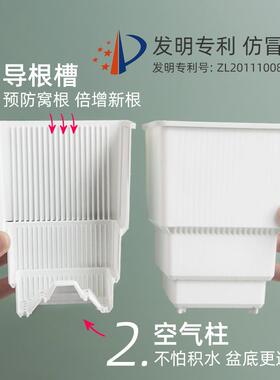 美莳蝴蝶兰花盆方形花架组合托盘托架透气水苔青山控根盆金小